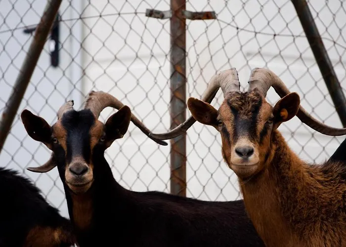 Restaurante Puente Hotel Quincoces de Yuso